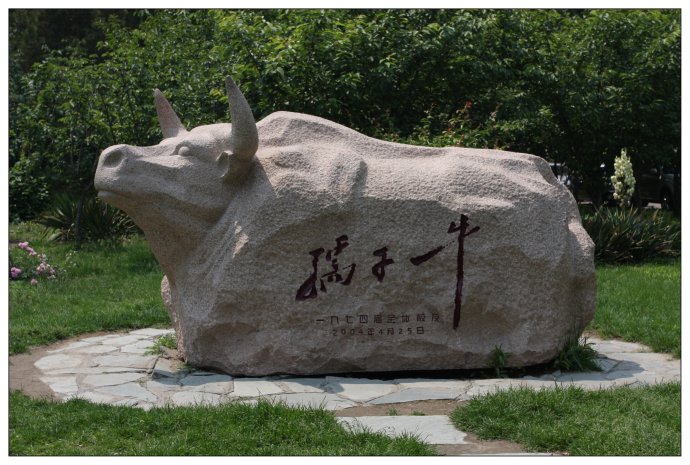 南京心博网页厂 