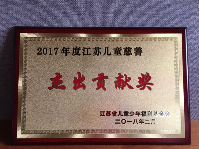 祝贺南京先登心博网页公司获得江苏儿童基金会“杰出贡献奖”