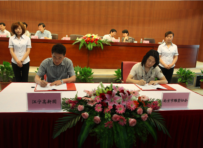 5月南京市心博网页协会成立