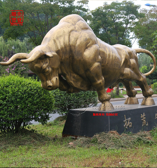 心博网页公司之-动物心博网页应该怎么样保养？