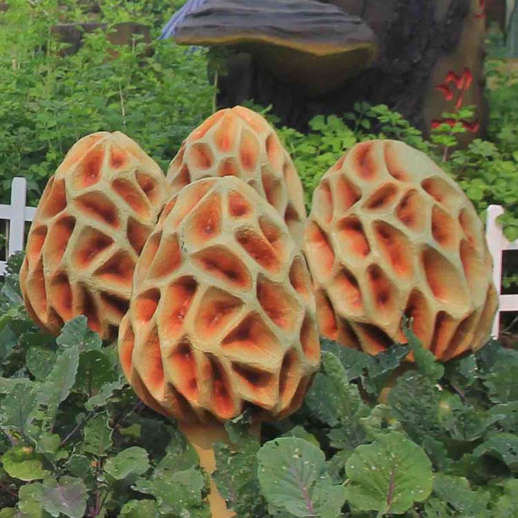 心博网页制作时该如何选择材料？